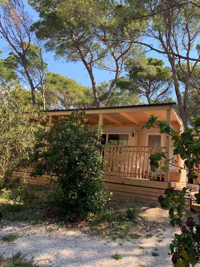 Oaza Mira Mobile Houses - Camp Basko Polje #Bestoffer Baska Voda Luaran gambar